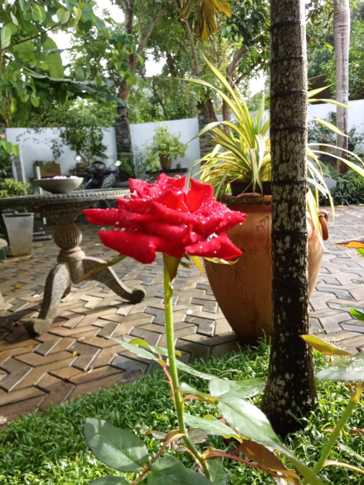 Awon Mirissa Hotel Exterior photo